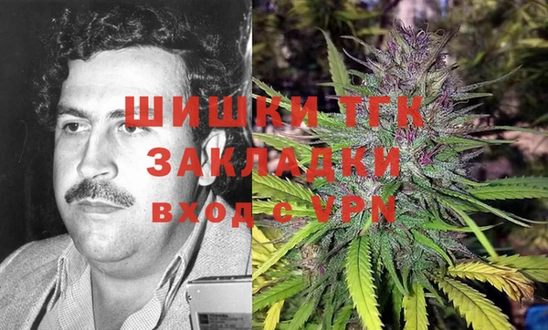 спайс Алексин